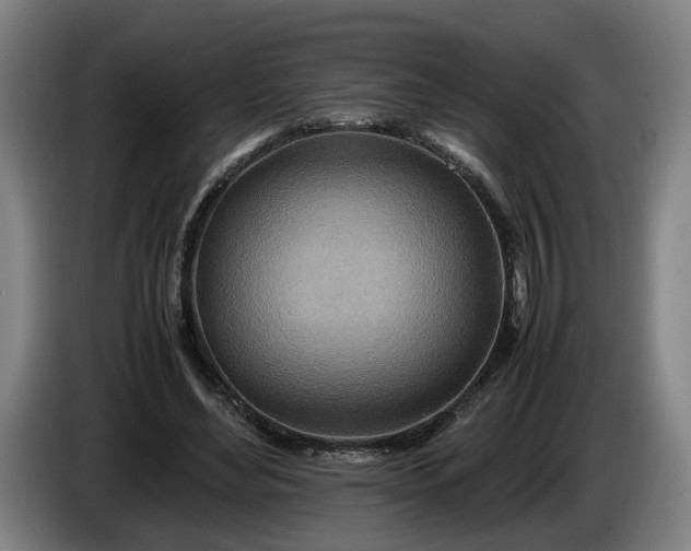 X0000085790492200703301454