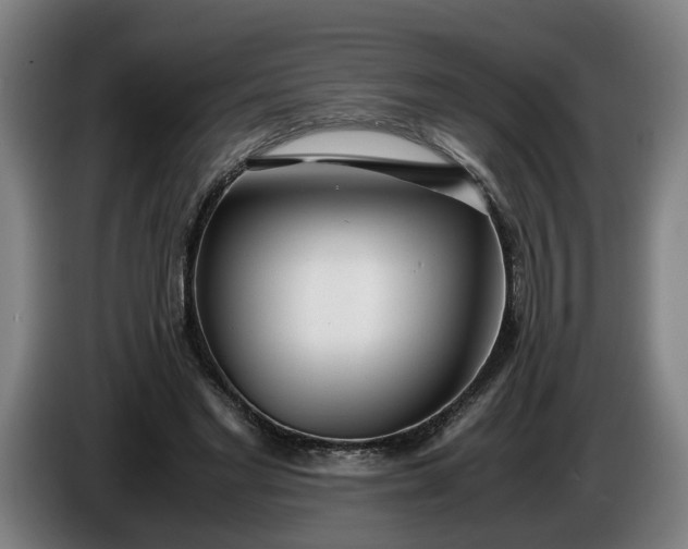 X0000085790493200703301454