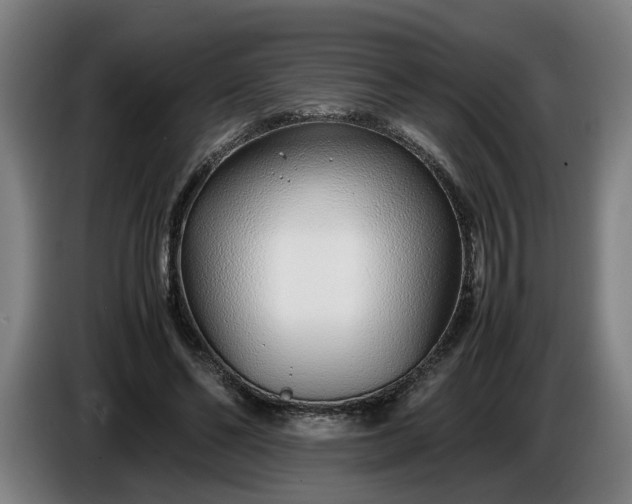 X0000085790494200703301454