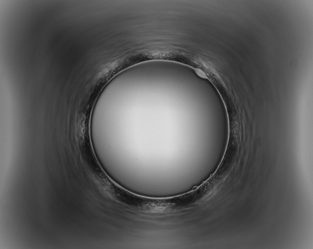 X0000085790495200703301454