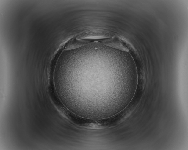 X0000085790496200703301454