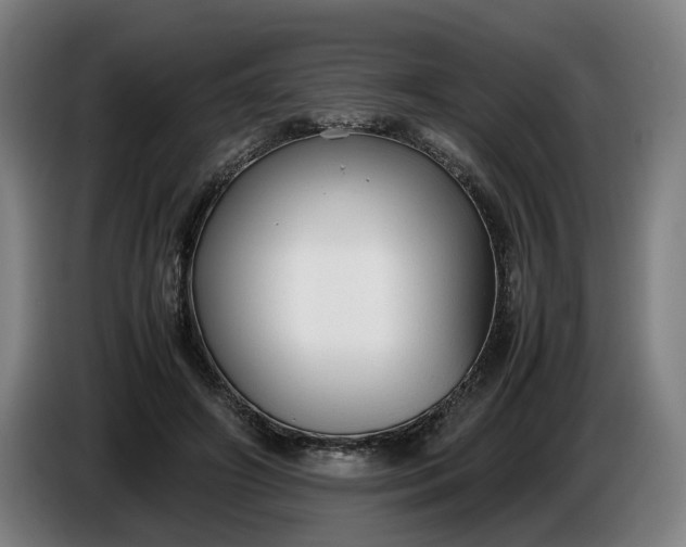 X0000085790498200703301454