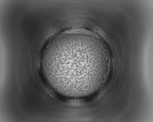 X0000085790499200703301454