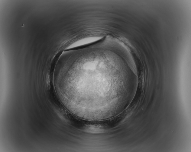 X0000085790500200703301454