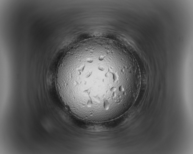 X0000085790503200703301454