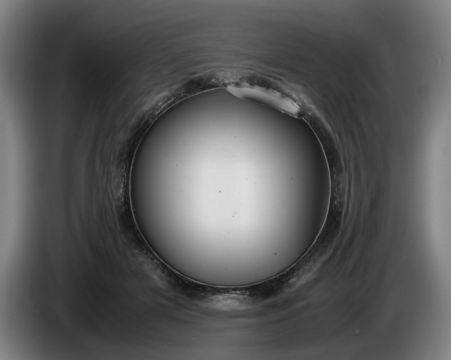 X0000085790505200703301454