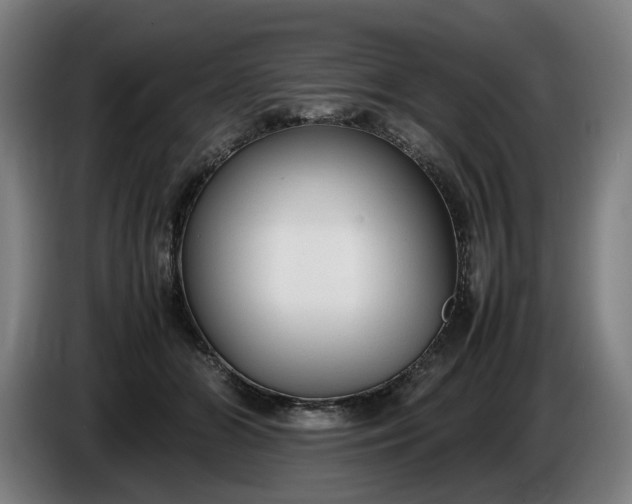 X0000085790510200703301454