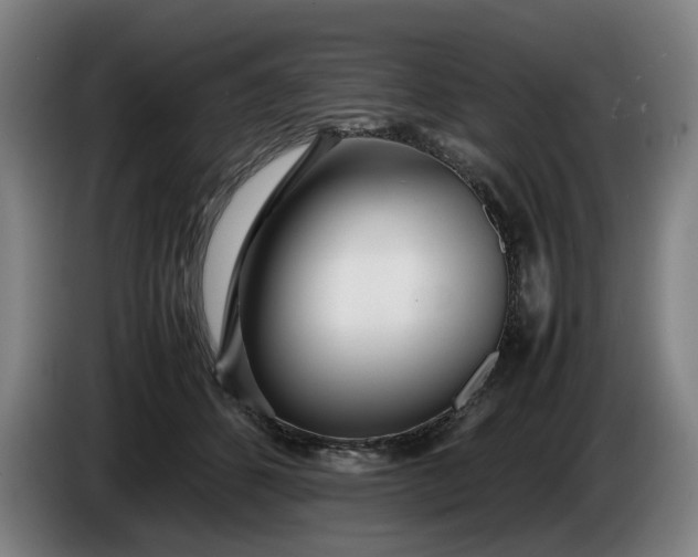 X0000085790512200703301454