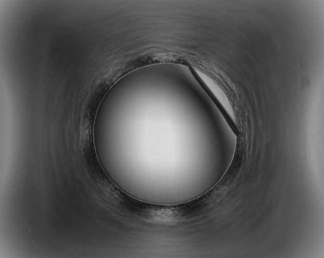 X0000085790513200703301454