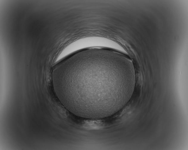 X0000085790517200703301454