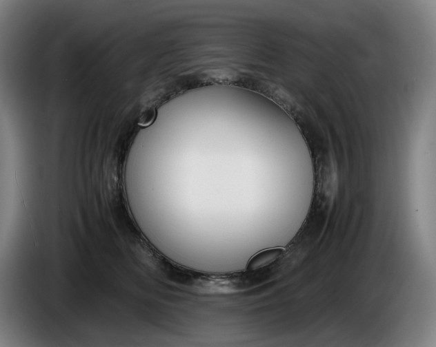 X0000085790518200703301454