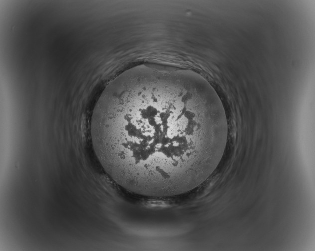 X0000085790519200703301454