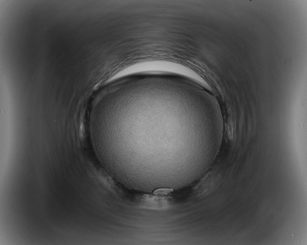 X0000085790520200703301454