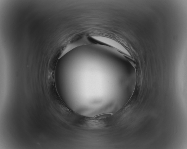 X0000085790521200703301454