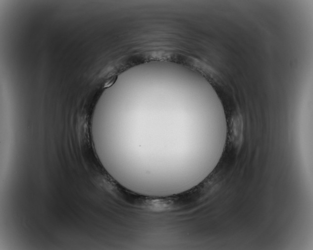 X0000085790522200703301454