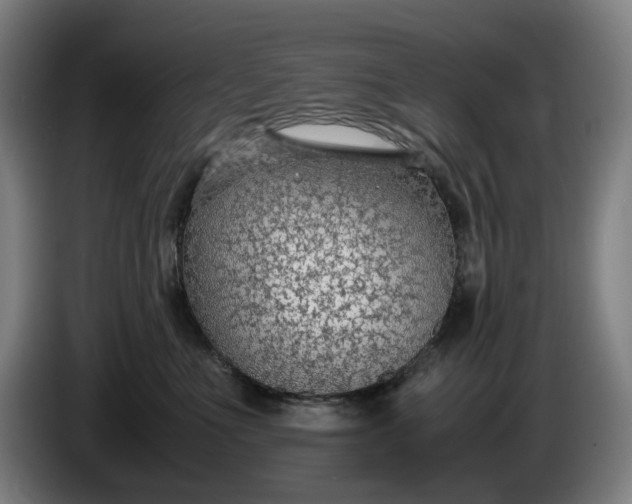 X0000085790523200703301454