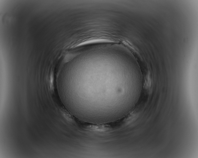 X0000085790524200703301454