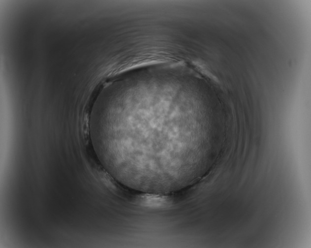 X0000085790528200703301454