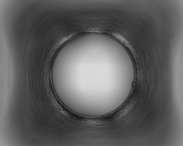 X0000085790529200703301453