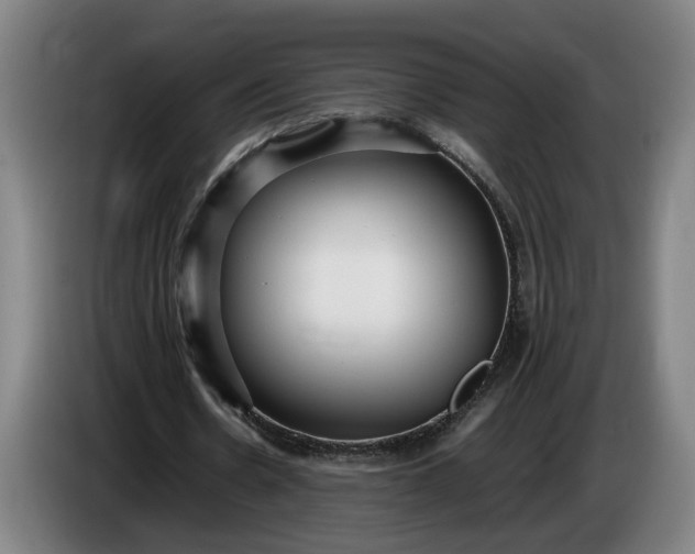 X0000085790530200703301453