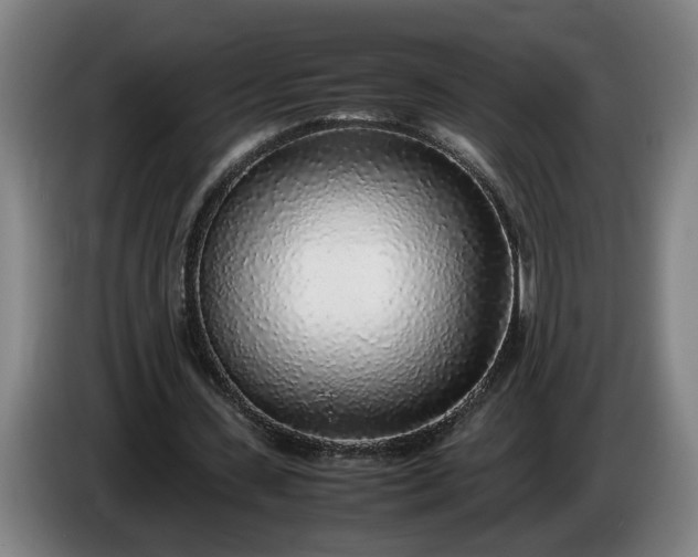 X0000085790531200703301453