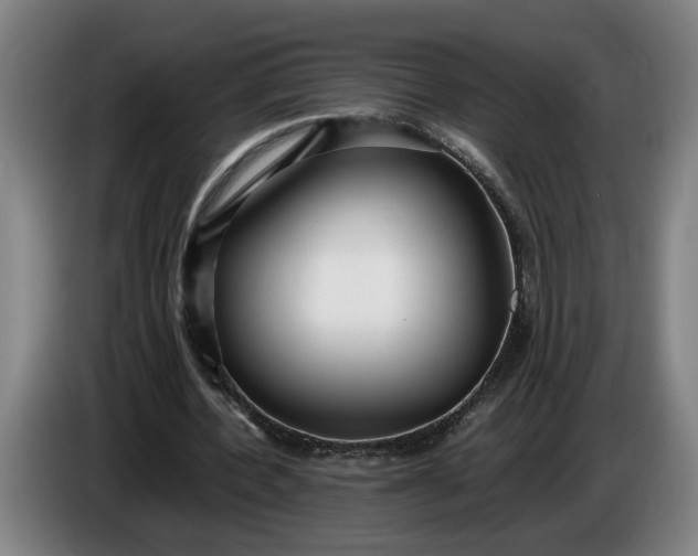 X0000085790532200703301453