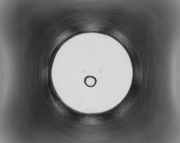 X0000085790534200703301453