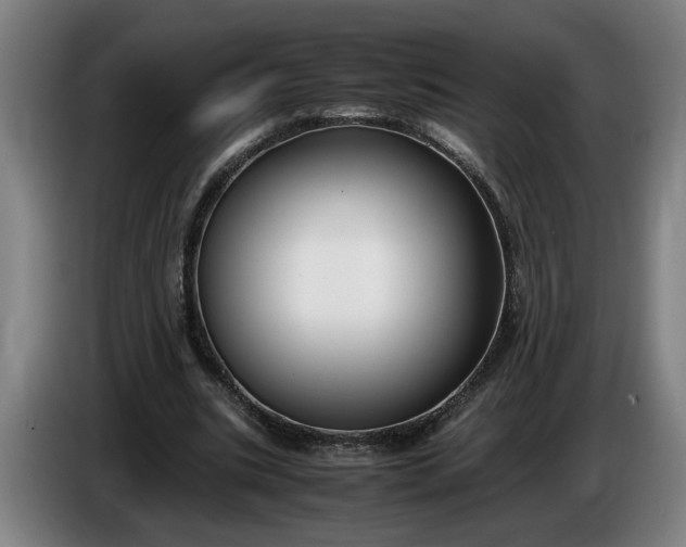 X0000085790535200703301453