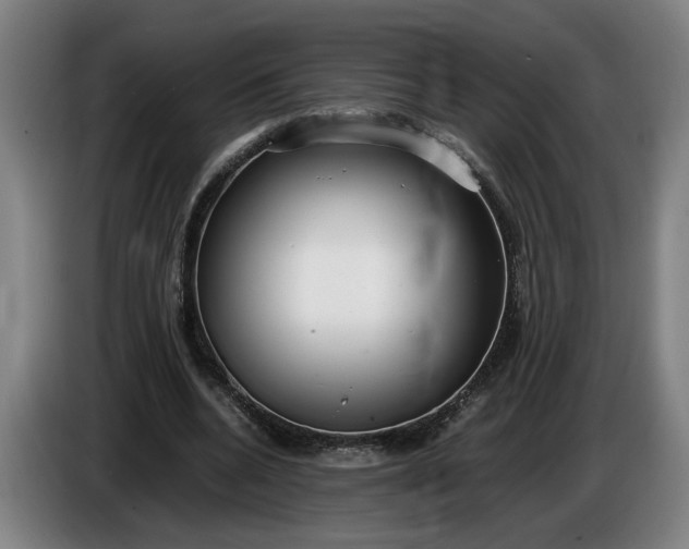 X0000085790536200703301453