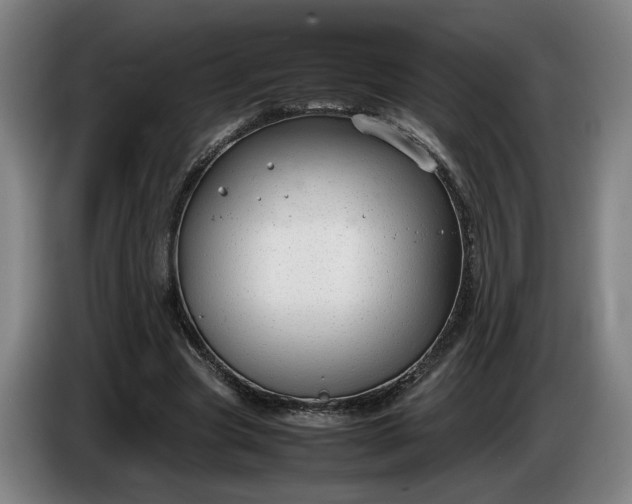 X0000085790537200703301453