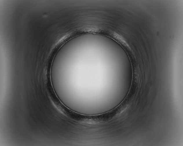 X0000085790538200703301453