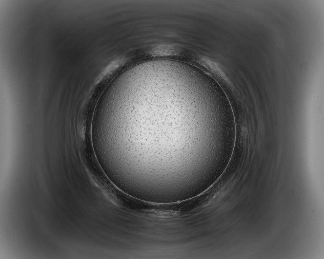 X0000085790539200703301453