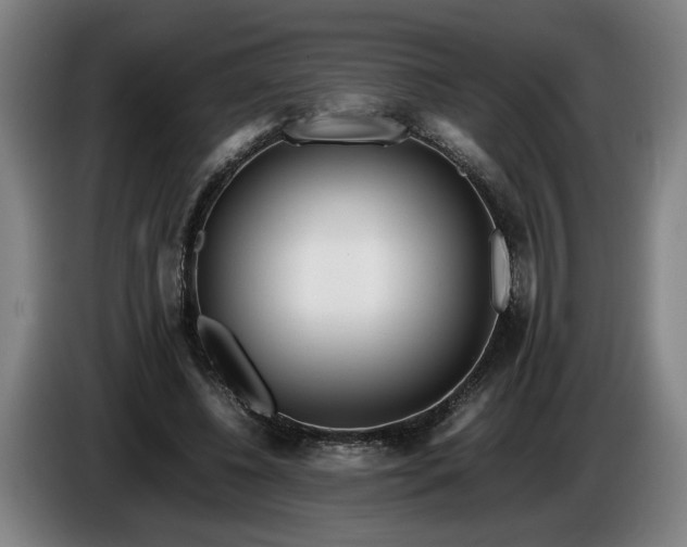X0000085790540200703301453