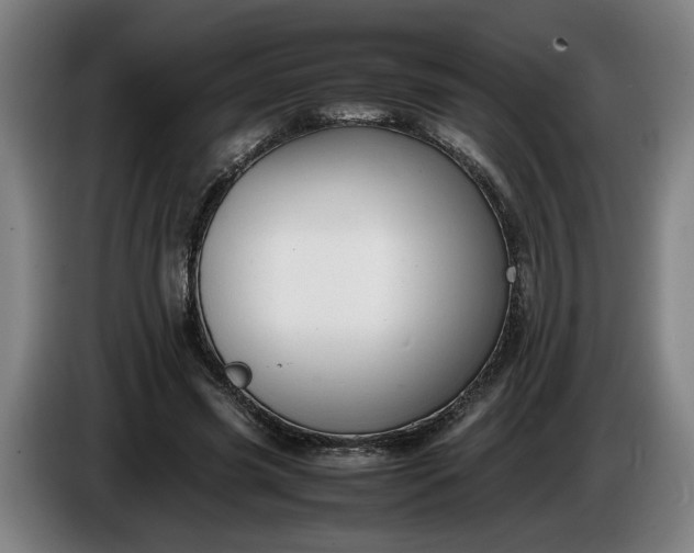 X0000085790541200703301453