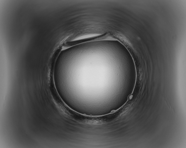 X0000085790542200703301453
