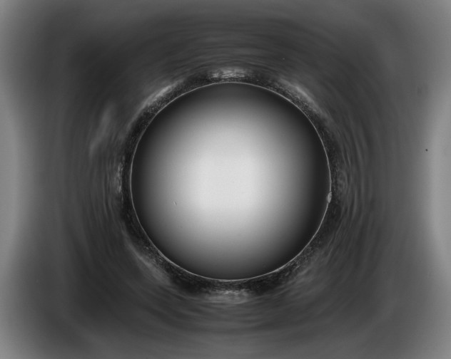 X0000085790543200703301453