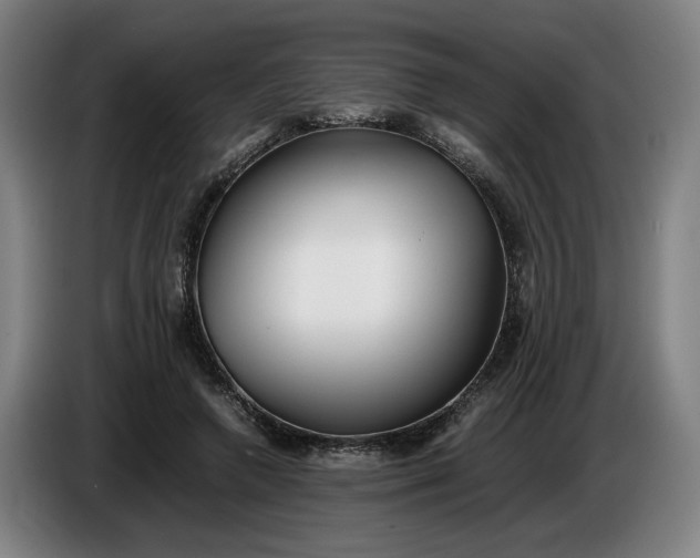 X0000085790546200703301453