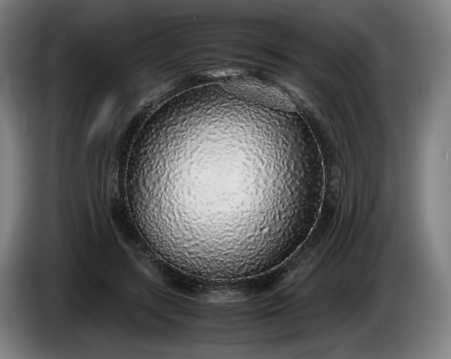 X0000085790547200703301453