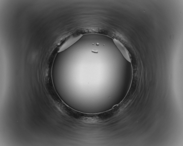 X0000085790548200703301454