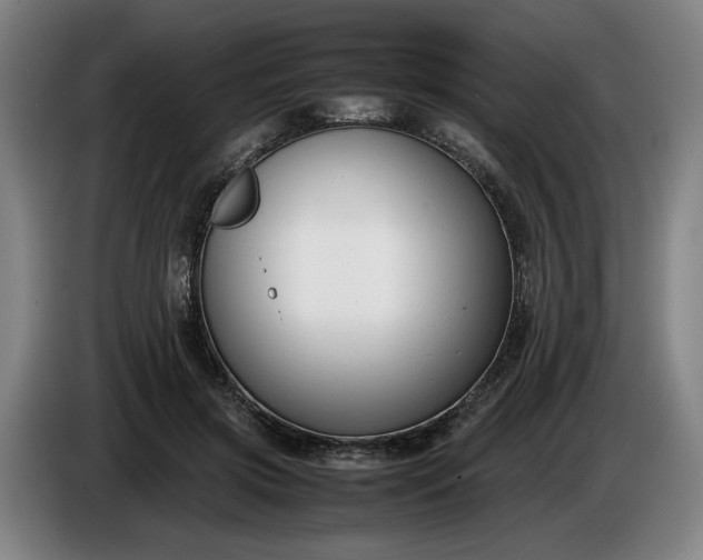 X0000085790549200703301454