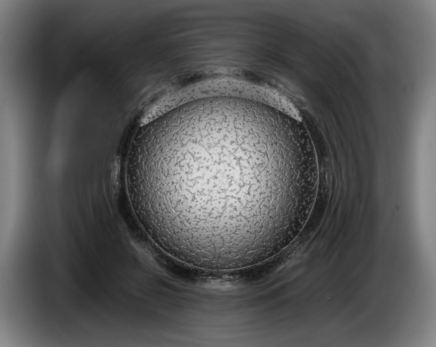 X0000085790550200703301454