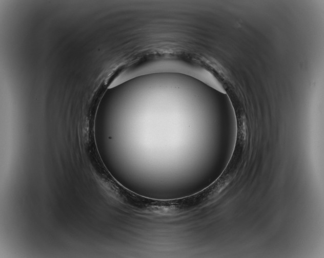 X0000085790552200703301454
