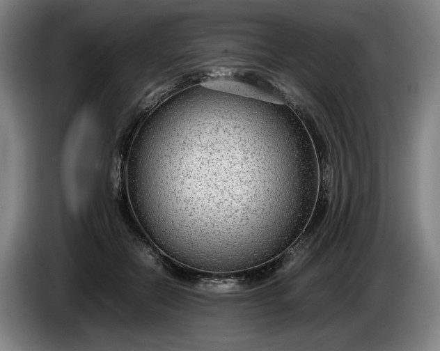 X0000085790554200703301454