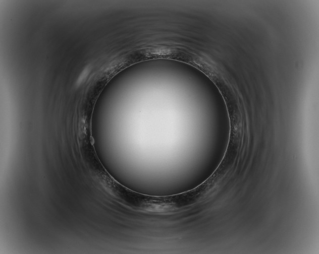 X0000085790555200703301454