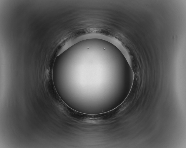 X0000085790556200703301454