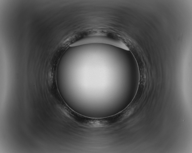 X0000085790558200703301454