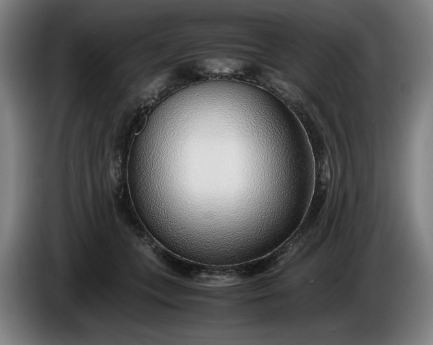X0000085790559200703301454
