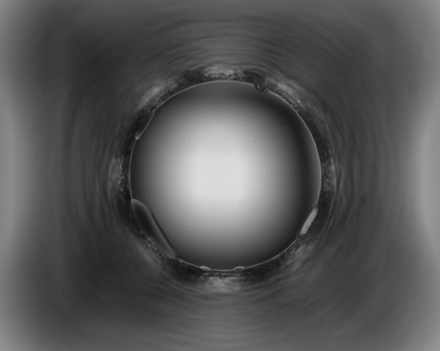 X0000085790560200703301454