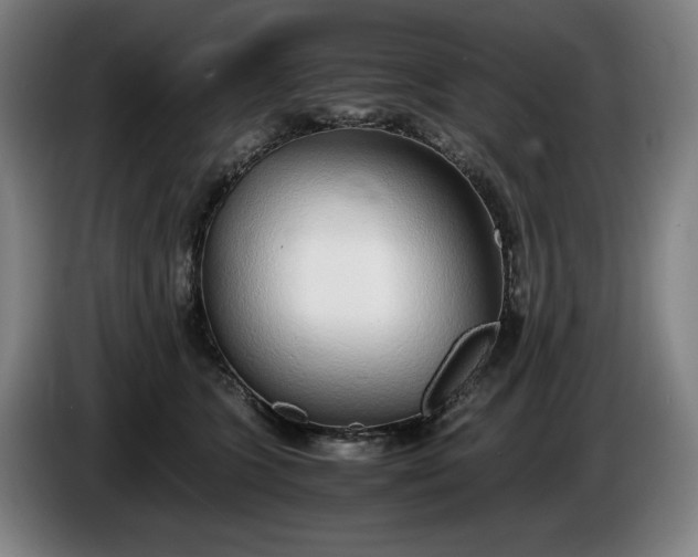 X0000085790563200703301454