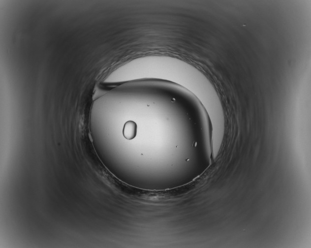 X0000085790564200703301454